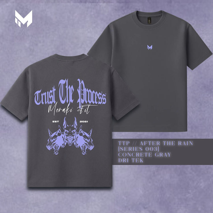 Dri Tek Tee [Concrete Gray] - Meraki Fit LLC